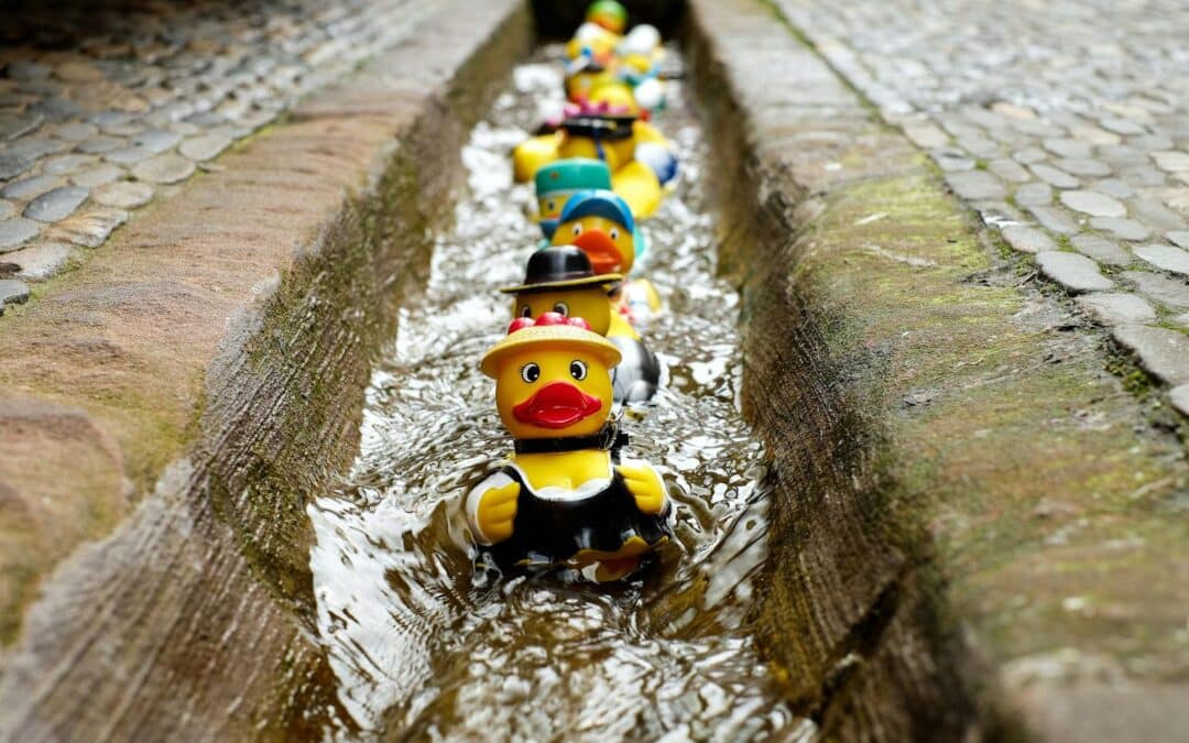 What Is a Water Line? Everything Homeowners and Business Owners Need to Know
