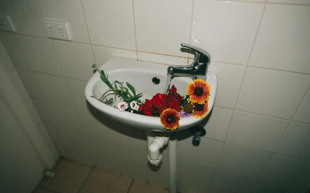 Why Hiring a Professional Drain Plumber is Essential for Your Home or Business