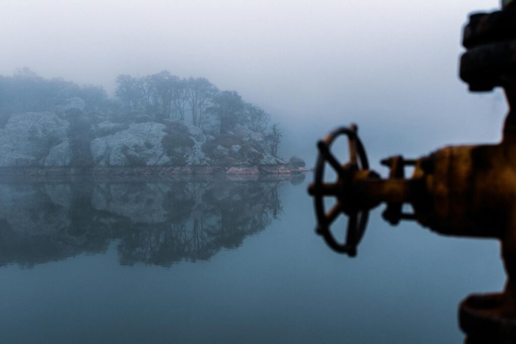 A serene foggy morning by a lake in Guanajuato, Mexico, with misty reflections.