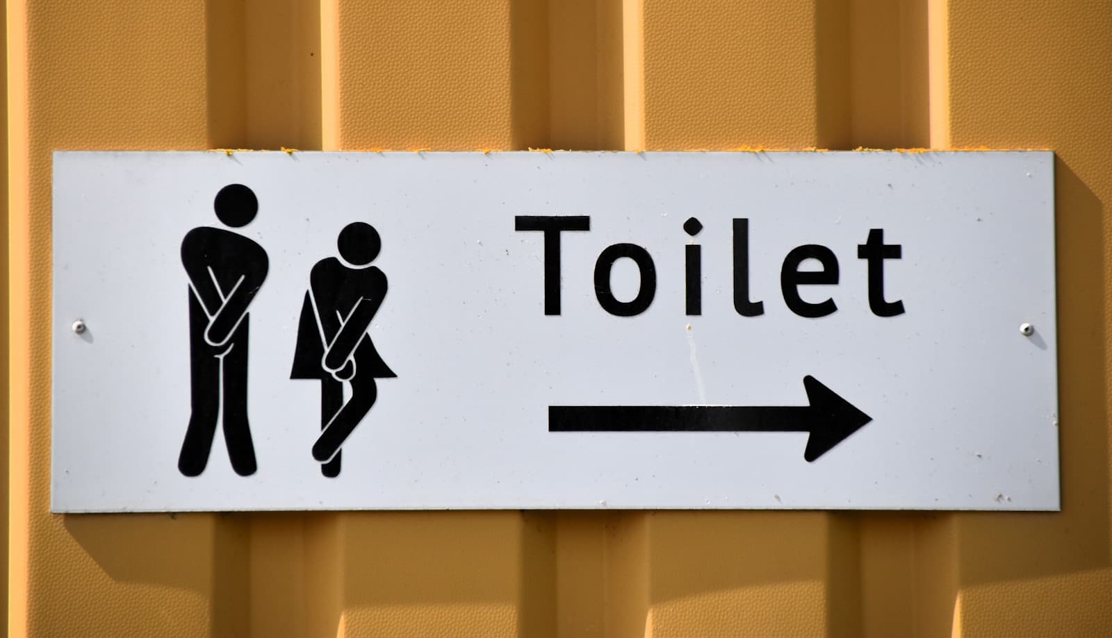 toilet keeps running