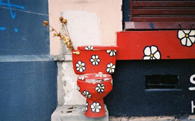 Why You Should Leave Toilet Installation to the Professionals