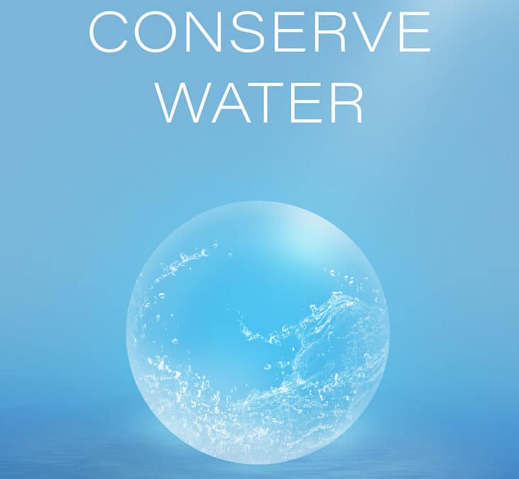 Top Tips on How To Conserve Water for a Sustainable Future