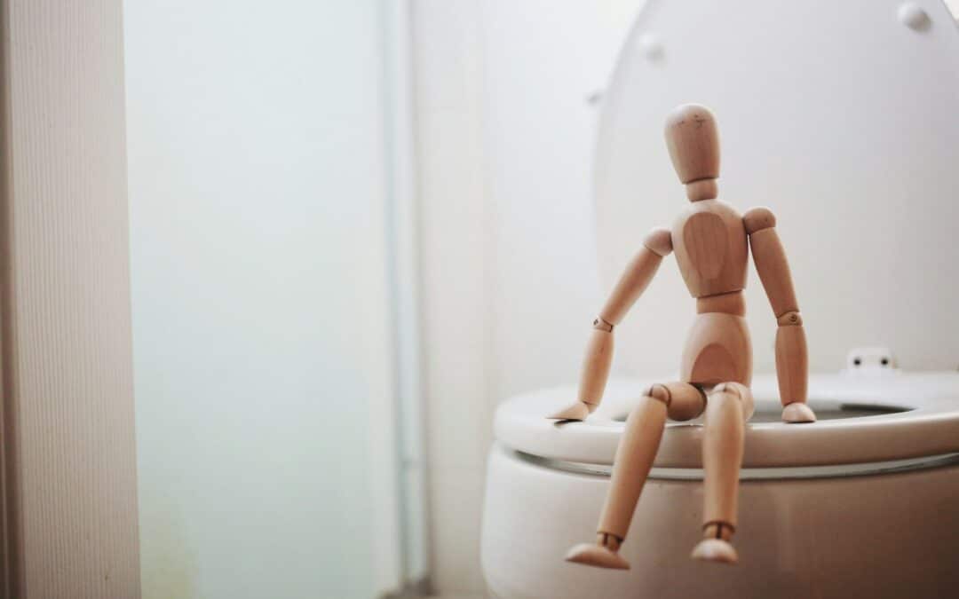 Unclogging a Clogged Toilet at Your Home Or Business