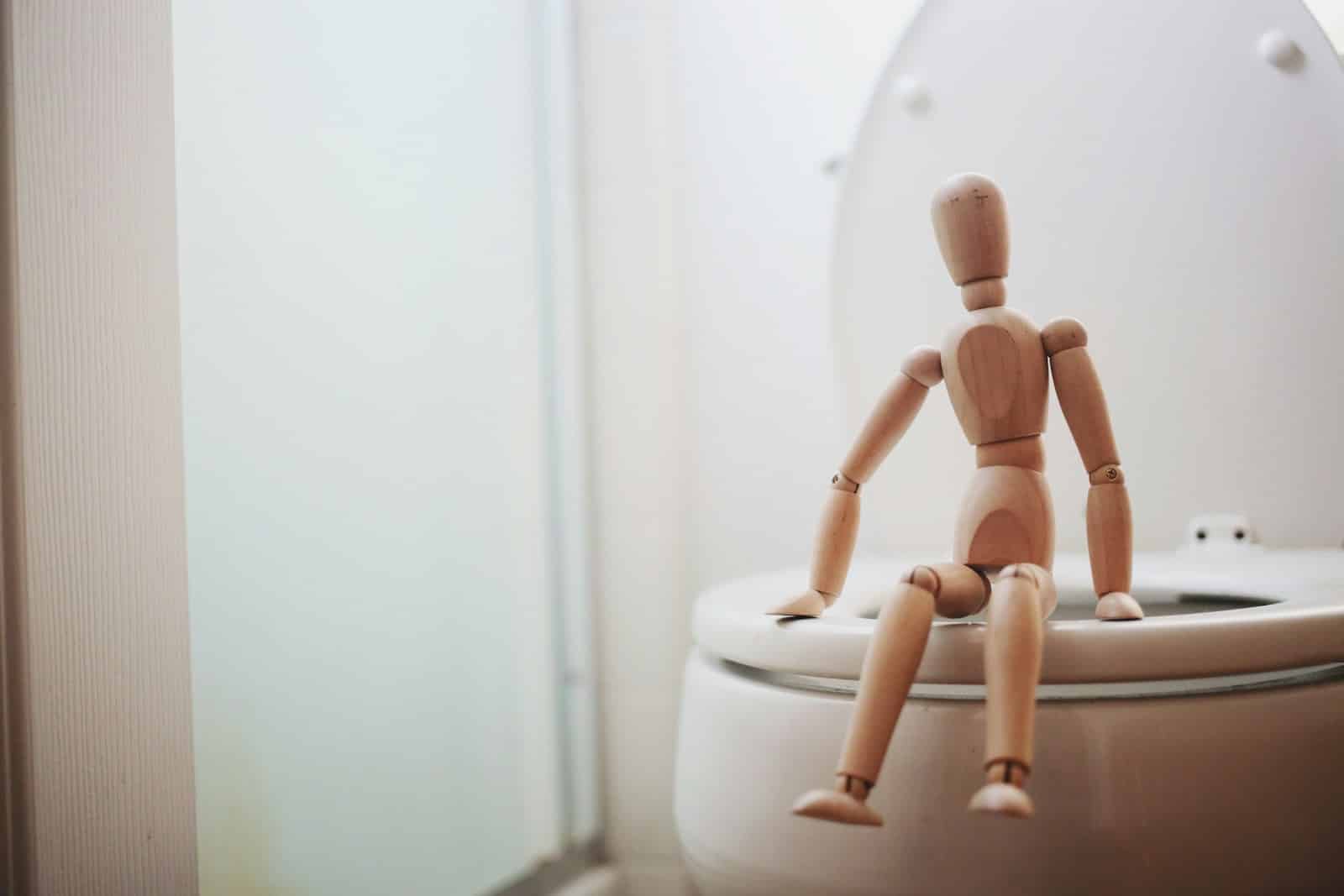 clogged toilet