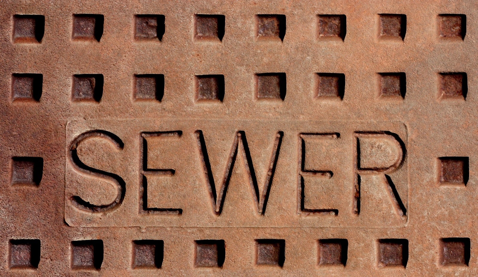 sewer backup