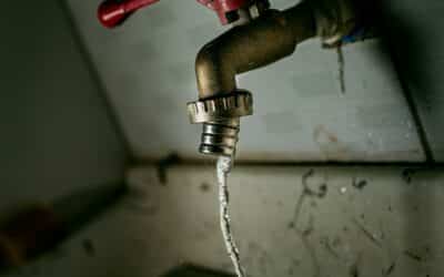 5 Plumber Services Every Colonial Heights Home Should Consider