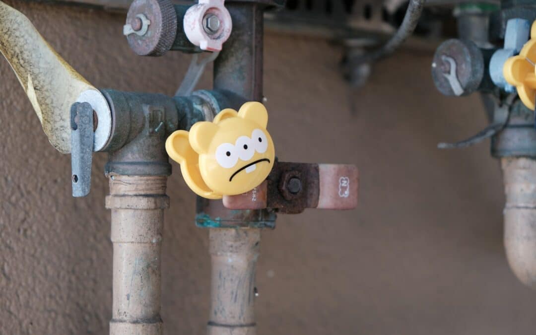 The Importance of Local Plumbers For Annapolis Homeowners