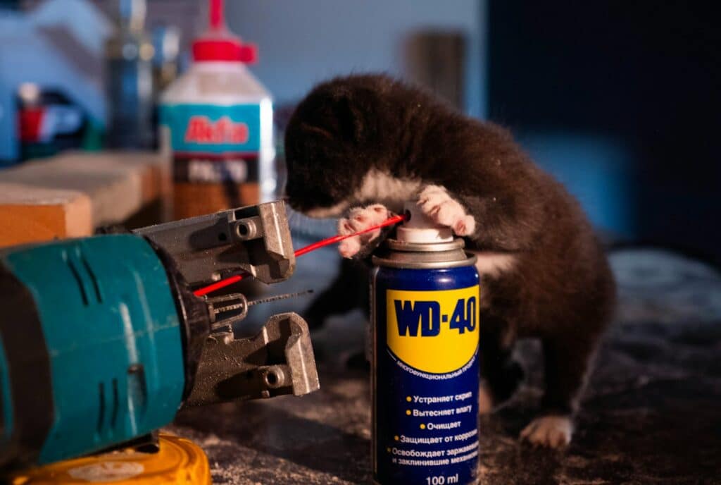 A ferret sniffing a can of glue on a table
