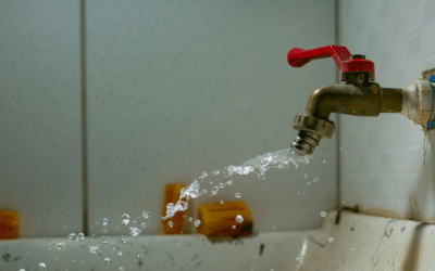 Bathtub Faucet Leaking in Annapolis, MD: A Homeowner’s Guide to Causes and Repairs