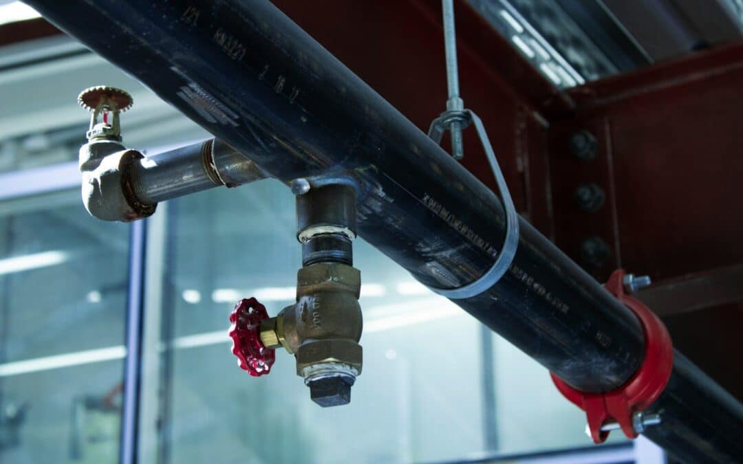 Plumber in Bladensburg, Maryland: Same-Day Plumbing Help for Busy Households