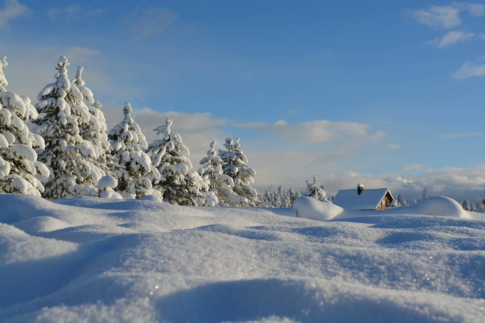Photo by Bob Canning snow-covered trees under blue cloudy sky Winterization Services in Maryland and Virginia: How Our Expert Plumbers Keep Your Home Protected All Season
