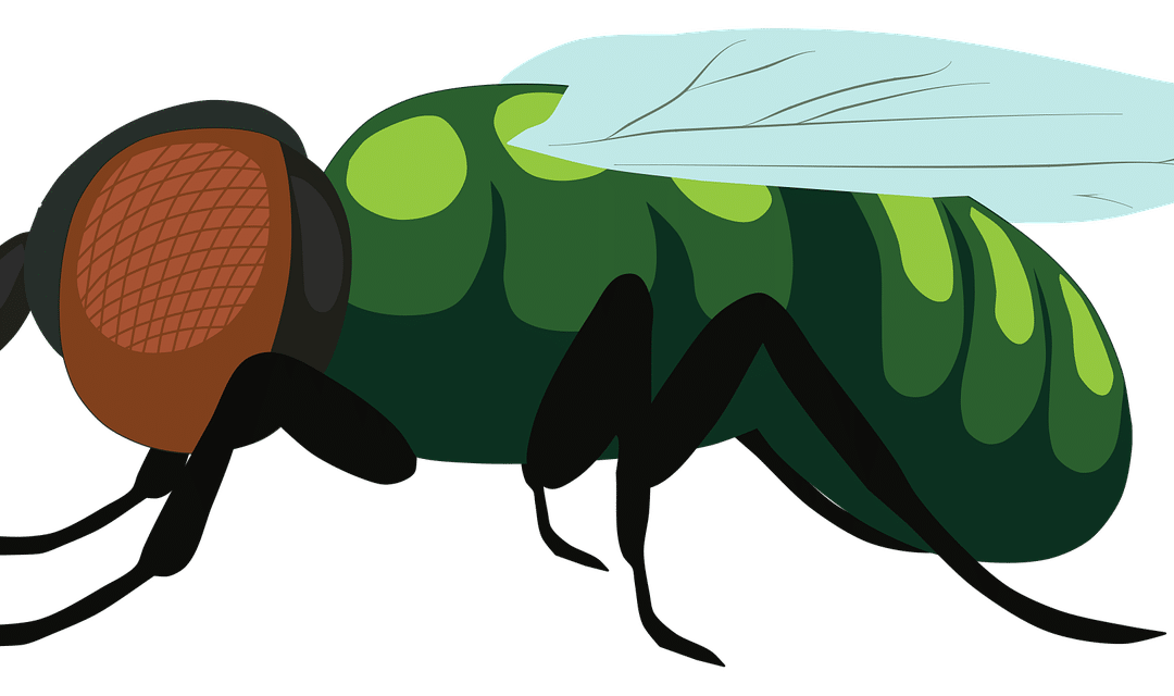 How to Kill Fruit Flies in Drain: A Practical Guide for Homeowners
